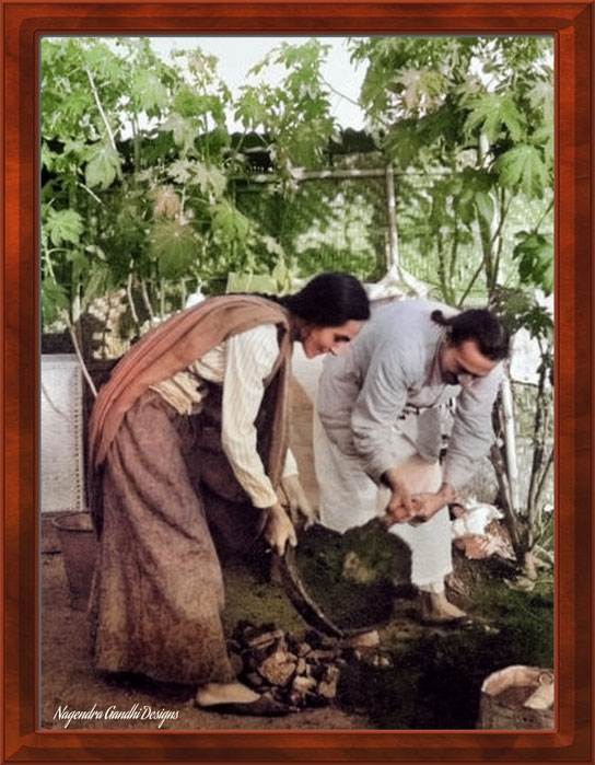 34. Baba with Mehera Irani gardening. Colourization by Nagendra Gandhi