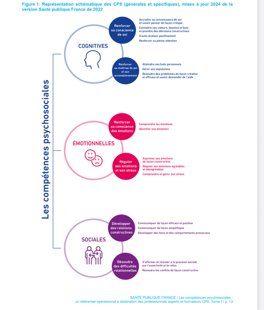Infographie compétences psychosociales CPS Santé Publique France 2024