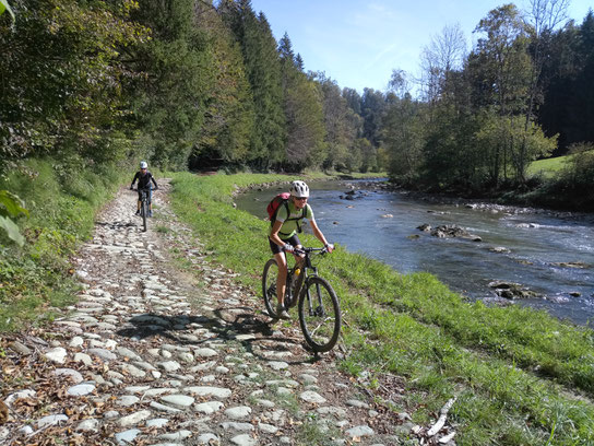 Einfache Trails entland der Sihl.