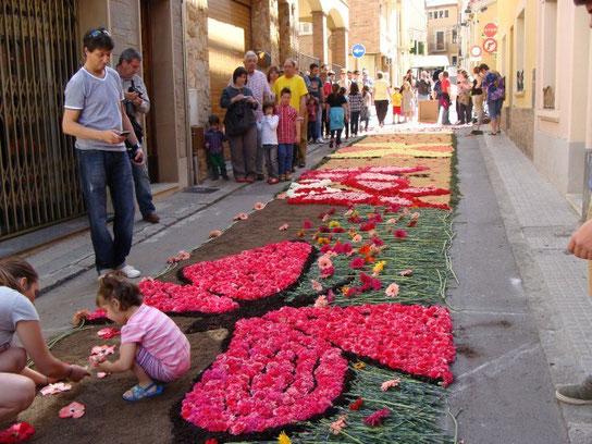 catifa de corpus 2013 institut vil·la romana