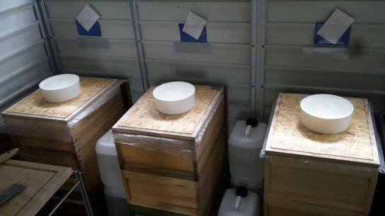 Fütterung der Bienen in kleinen Mengen