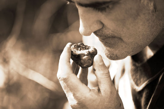 Wegen des besonderen Aromas und der aufwändigen Ernte sind Trüffel der mit Abstand teuerste Speisepilz.  Foto: djd/Oil & Vinegar