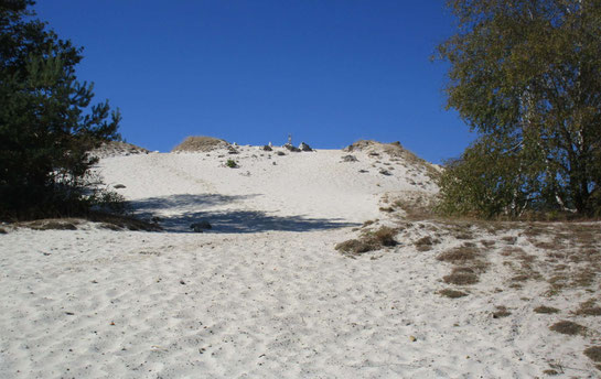 Avec tout ce sable, sortons pelles et seaux et faisons des petits châteaux