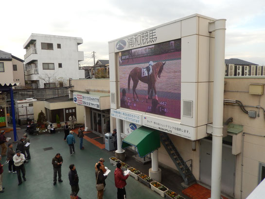 浦和競馬,中庭,モニター