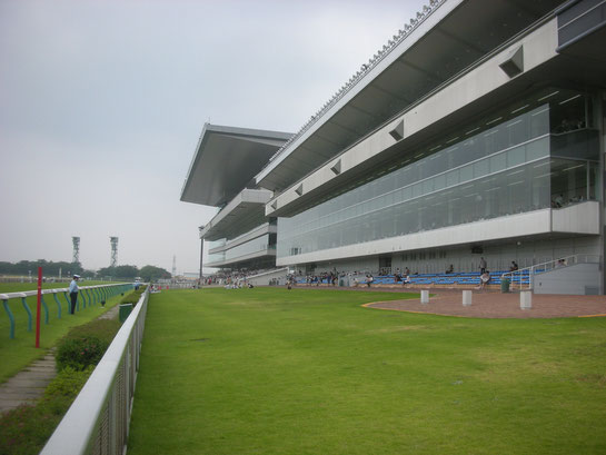 新潟競馬場,直線前の芝シート