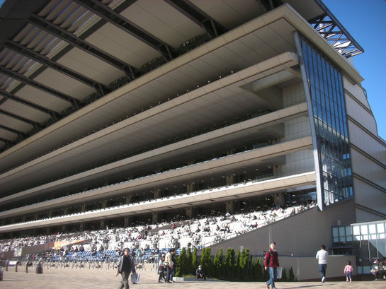 場内散歩 フジビュースタンド編 競馬場へ行く 全国競馬場漫遊記 笑いあり人情あり美味いもんあり