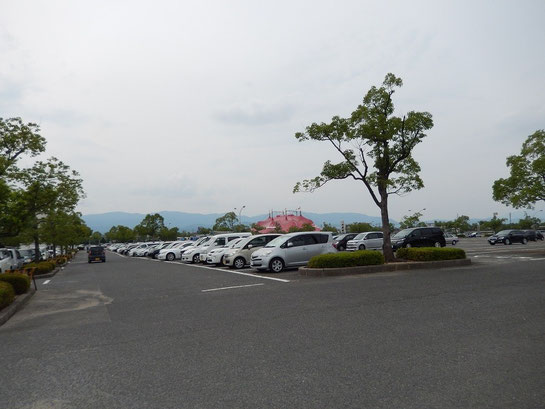 京都競馬場　駐車場