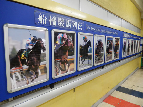 船橋競馬場2階,船橋駿馬列伝