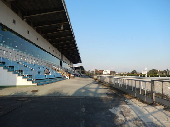 笠松競馬場　屋外観戦エリア