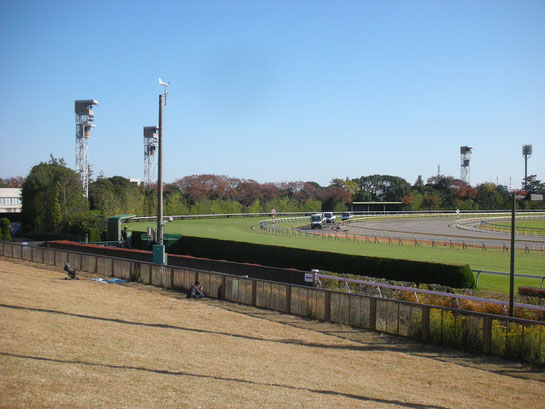 東京競馬場４コーナー