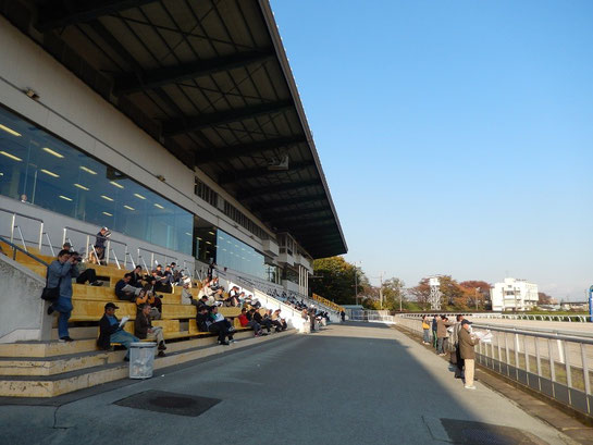 笠松競馬場　場内散歩　屋外観戦