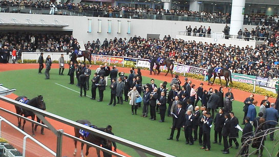 阪神競馬場,GⅠ,パドック