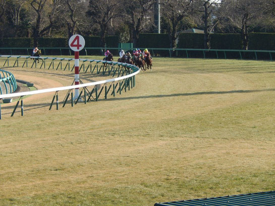 中山競馬場,４コーナー