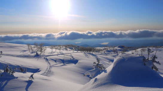 Mt asahidake backcountry at dusk