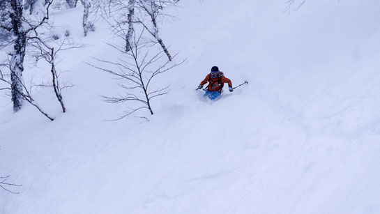 Deep powder Asahidake