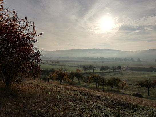Freitagslieblinge, Kraftquelle, Auszeit im Paradies, Auszeit in der Natur, Advent ohne Stress, entspannter Advent, Novembernebel, Wochenglück, Herbstmagie