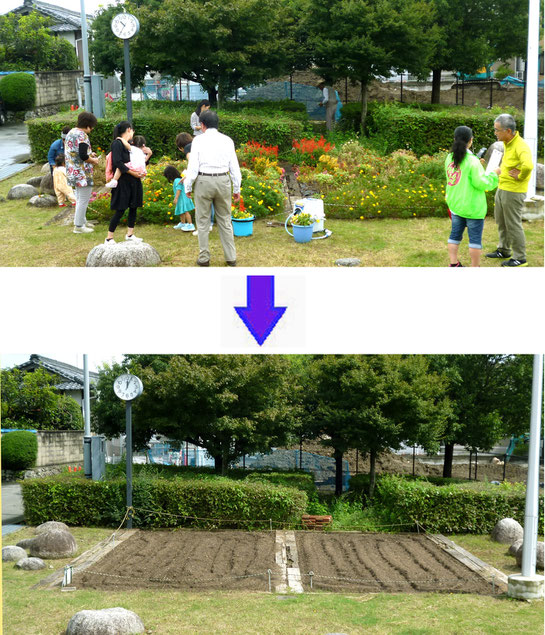 親子がお花を摘み終えた花壇は、さっそく「みのお園芸ファーム」のメンバーが耕し「冬花壇」に備えました。