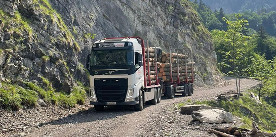 LKW beim Rundholztransport auf Schotterstraße am Berg