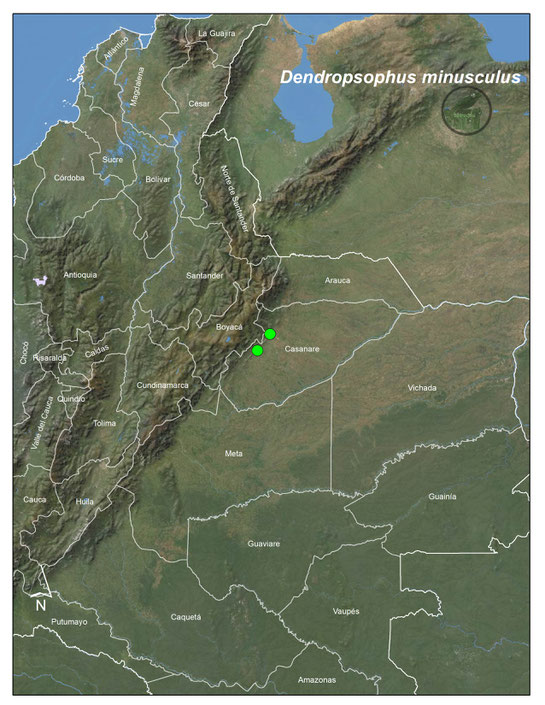 Dendropsophus minusculus, distribución en Colombia