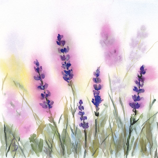 Lavendel, 19x19 cm, 50€