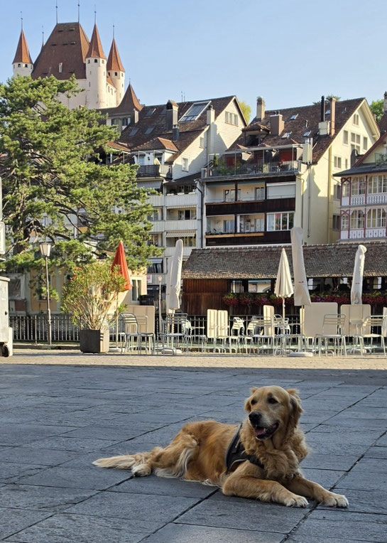 Training mit Ajene in Thun Juli 2026