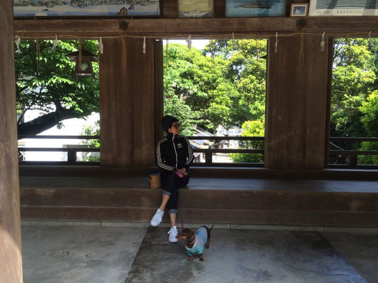 この日は、途中からすこぶる良い天気に。恵まれました☺︎