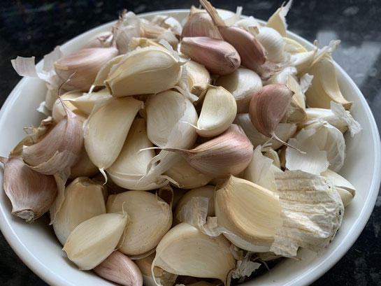 Bowl of selected garlic bulbs to plant - April 2021