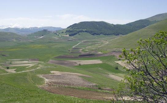 Castelluccio di Norcia inmitten der Hochebenen