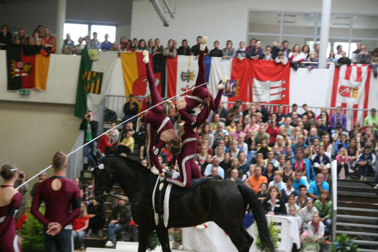 Deutsche Voltigiermeisterschaft 2011 in Elmshorn (nahe Hamburg)
