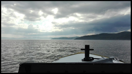 Whale Watching Quebec Kanada Ste Katherine