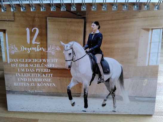 Blatt eines Adventskalenders mit einem gerittenen weißen Pferd in einer Reithalle und einem Spruch