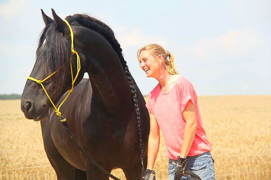 Pferd-Mensch-Beziehung, Horsemanship