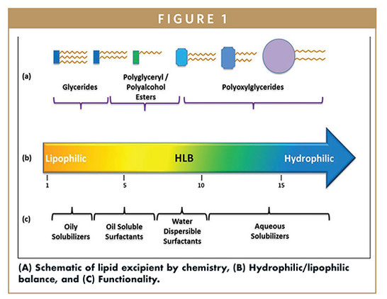 introduction to lipid-based drug delivery systems,