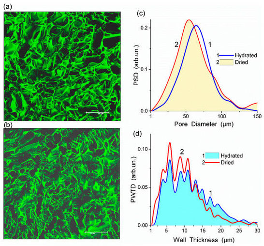 Importance of water in hydrogel (HG) properties and structure is analyzed with a variety of analysing methods