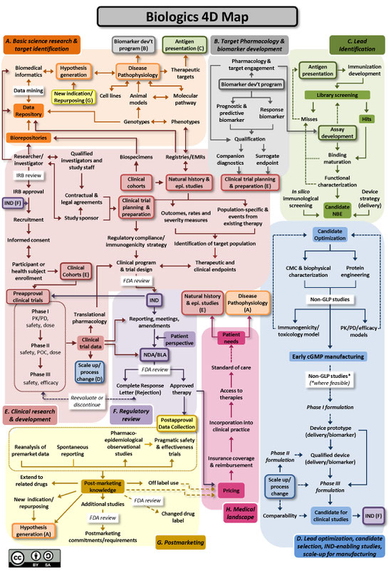 ap depicting the interconnected nature of key steps in the drug development lifecycle for biologics