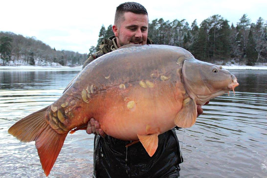 pêche de la carpe à l'étang de Ruffaud en Corrèze -Limousin-