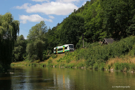 Elsterblick in Berga/Elster.