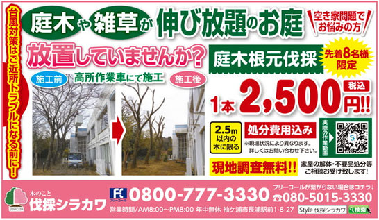 生活情報誌Style 2026年5月22日号　伐採シラカワ
