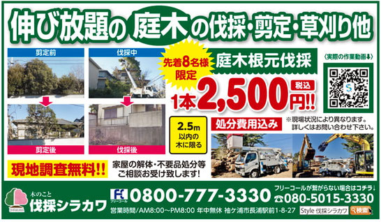 生活情報誌Style 2026年6月12日号　伐採シラカワ