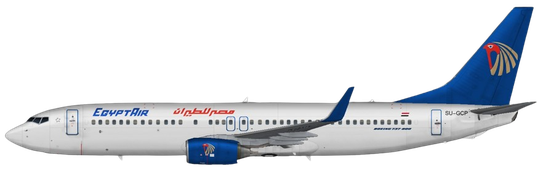 Aircraft Type: Boeing 737-800