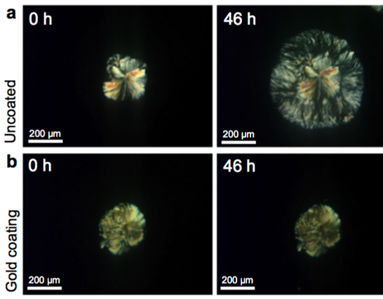 Electro microscope pictures of coated and uncoated crystals
