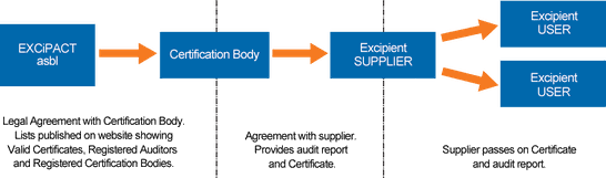 Graphic with four steps of EXCIPACT certification process 