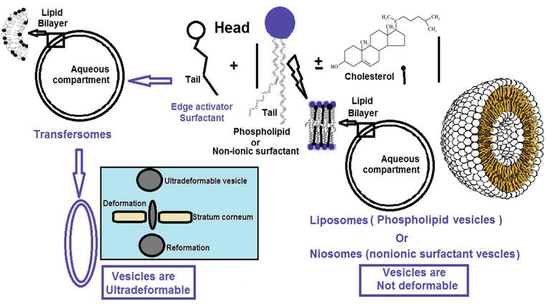 Overview graphic potentials of hydrogels and emulgels with or without lipid nanocarriers for dermal and transdermal application