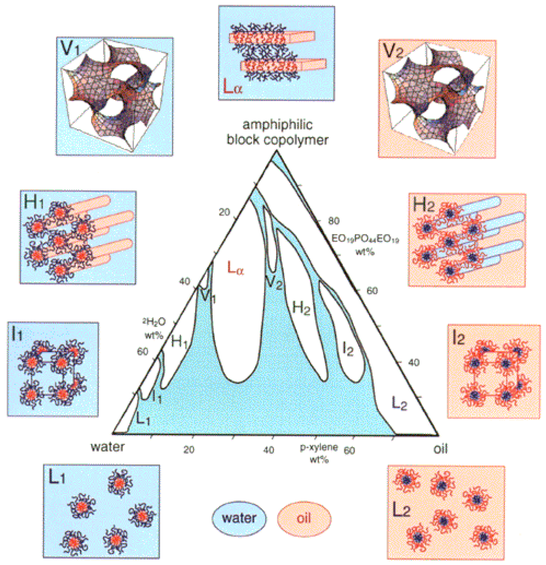 Graphic with poloxamers for drug delivery