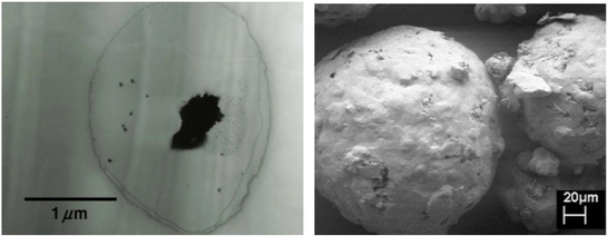 Microscope photos of particles created by Supercritical fluid technology
