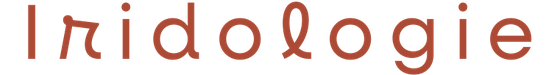 Lebensfrische Lebensfreude Lebensqualität Energie Lebenskraft Wohlbefinden Iridologie Beratung, Numerologie Analyse, Iridologin, Numerologin,  1:1 Mentoring Numerologie, Iridologie, Gesundheit, Persönliches Numerologie Coaching Augenanalyse Melanie Kogler