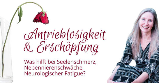 Foto von einer welkenden Rose (canva) und von Inga Dalhoff, Fotografin Andrea Maucher