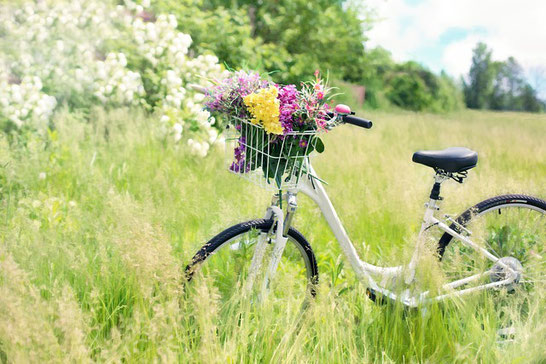 緑があふれる野原に停められた自転車。自転車のかごにいっぱいの花。