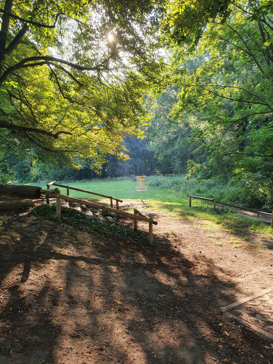 Die vier besten Disc Golf Parcours in Deutschland. Discgolf Germany