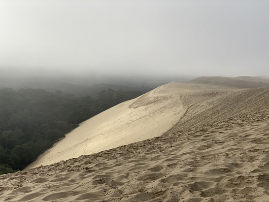 la dune du Pilat, la più alta duna di sabbia d'Europa, che affaccia sulla pineta e sull'oceano